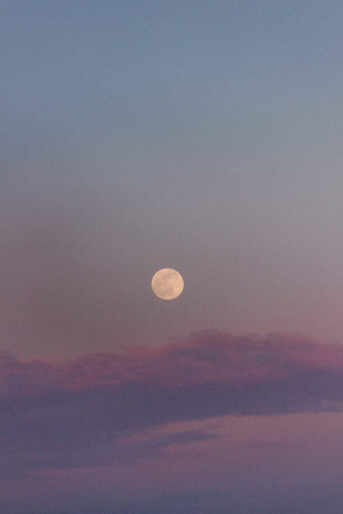 altinay dinc 71qntvlq1io unsplash